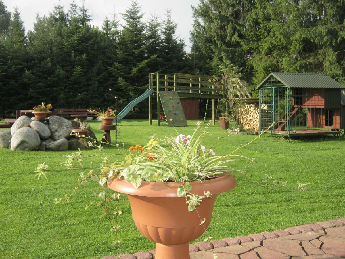 Hacjenda - Apartamenty I Pokoje Goscinne Czarna Góra Exteriér fotografie